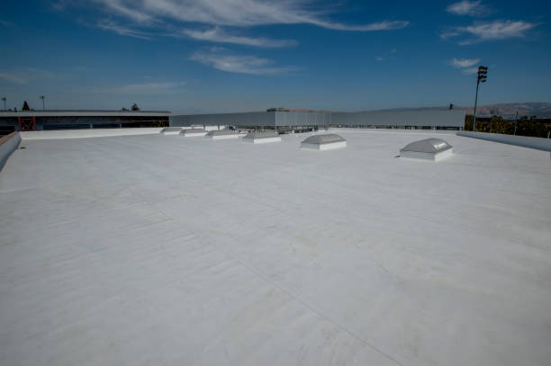 Best Rubber Roofing (EPDM, TPO)  in Laredo, TX