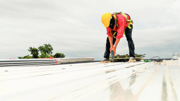 Best Slate Roofing  in Laredo, TX