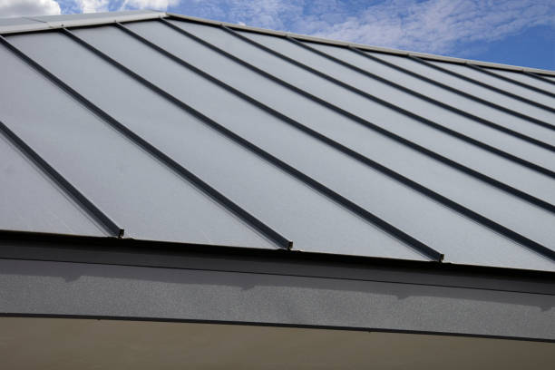 Best Green or Eco-Friendly Roofing Solutions  in Laredo, TX